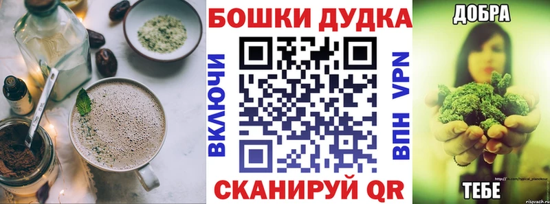 Canna-Cookies конопля  Купить закладки  Новопавловск 