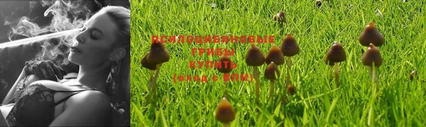 MESCALINE Краснотурьинск
